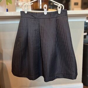 Ann Taylor skirt